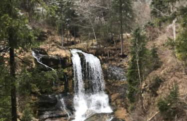 Haus Hochhäusler - Foto 8