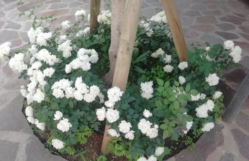 Casa vacanze Villa Rosa - Foto 15