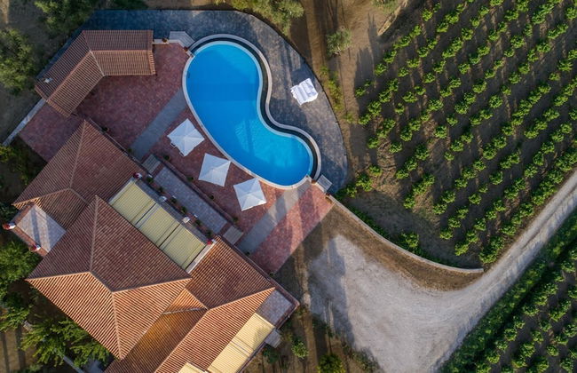 Aneli Villas - Villa Anastasia - Foto 4