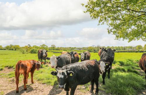 Acorn Lodge - Foto 32