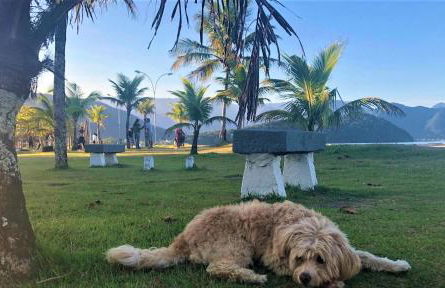 Flat duplex localização espetacular 2 quadras da praia - Foto 66