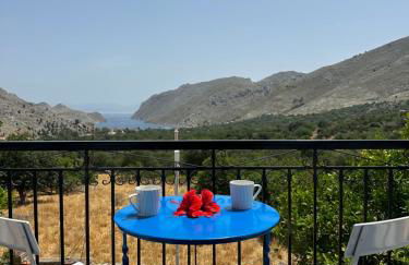 Taxiarchis - Foto 17