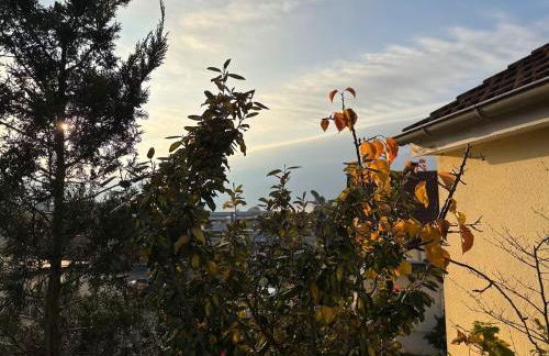 Touch & Stay - Oase mit Stil - Foto 16