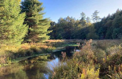 Little Birds Treehouse - Foto 3