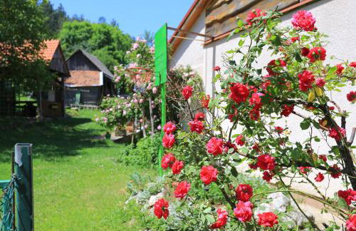 Apartments for families with children Perusic (Velebit) - 17540 - Foto 5