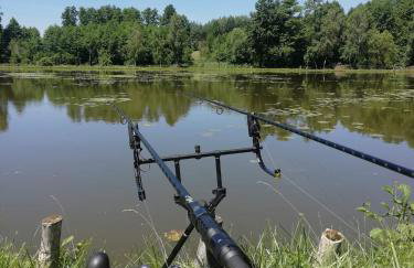 Dom w lesie przy stawach - Foto 59