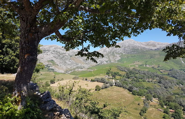 Alojamientos Rurales Valle de Bueida - Foto 63