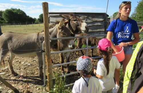 Chalet Les P'tites Maisons dans la Prairie - Foto 68