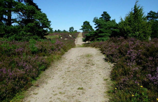 Holiday Home Hirtenkate Apartment 2 - Foto 9