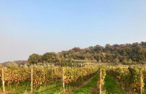 Holiday Home near Lake Garda - Foto 29