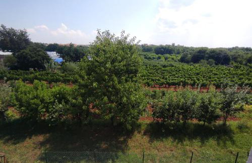 Crystal Apartment Umag - Foto 23