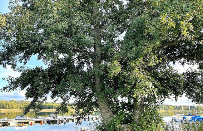 9 Person Holiday Home in Lidkoping-by Traum - Foto 16