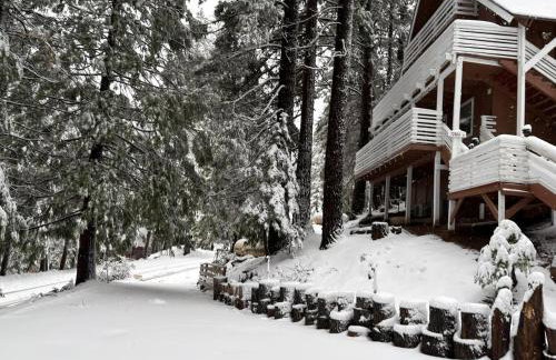 El Capitan Hideaway - A-Frame Cabin Yosemite West - Foto 22