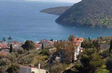 Πέτρα, Ελιά και Λεβάντα - Foto 19