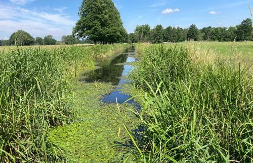 Ferienloft Libela Straupitz im Spreewald - Foto 21