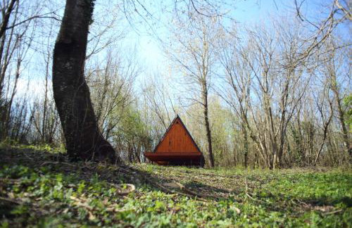 Dushka Mountain Cabin - Photo 44