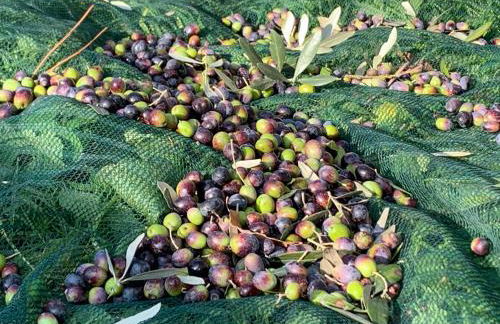 SetterHouseAgriHotel - Photo 66