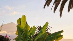 Lovely La Palmita - Foto 3, Garden, Garden view