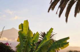 Lovely La Palmita - Foto 3