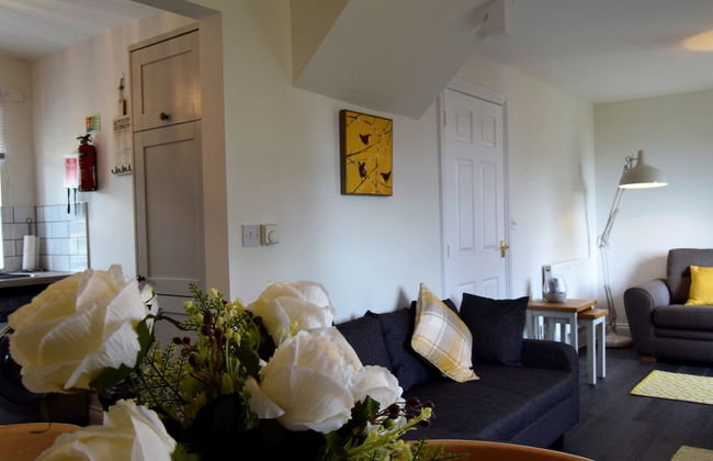 Woodlands View - Photo 1