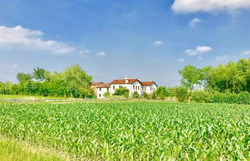 Chez Alberto - Foto 27