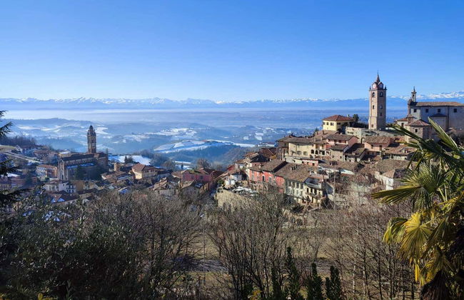 Monforte d'Alba Guided Tour - Photo 5