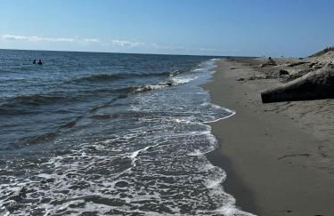 Appart, résidentiel penta-di-Casinca - Foto 24