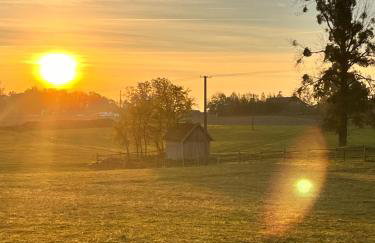 Przystanek Gałkowo - Foto 77
