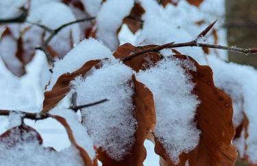 Relax Hütten & Spa Gröden - Foto 13