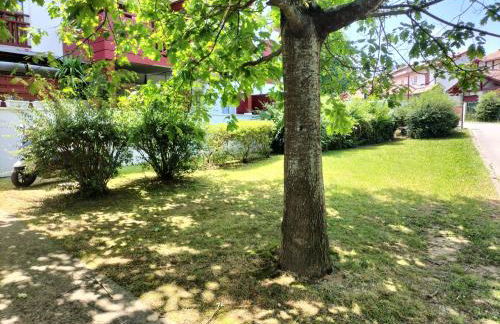 Studio- très calme - Proche Bidart et Guétary " AHETZE" - Foto 22