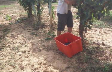 Agriturismo La Poderina - Foto 49