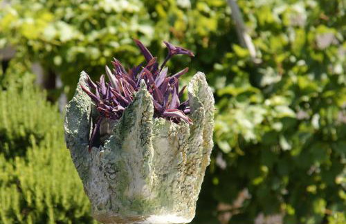 Apartments Solta - Foto 56