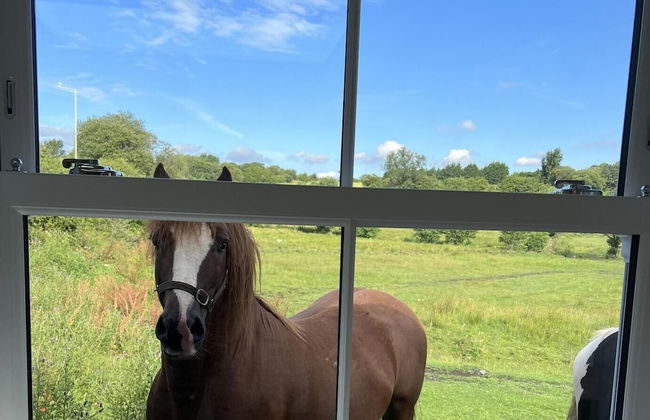 Penderyn Cottage, Waterfall Country, Brecon Beacons - Foto 35
