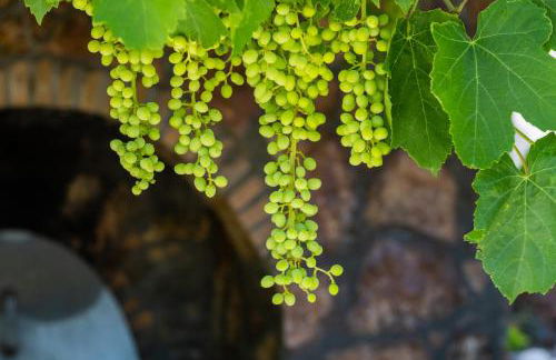 Villa Anastasia - Foto 38