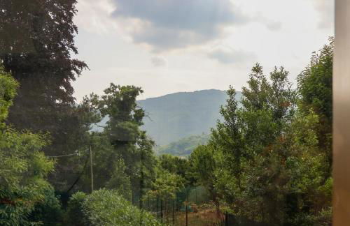 Quiet Mountains Apartment - with Wi-Fi, Smart TV - Foto 5