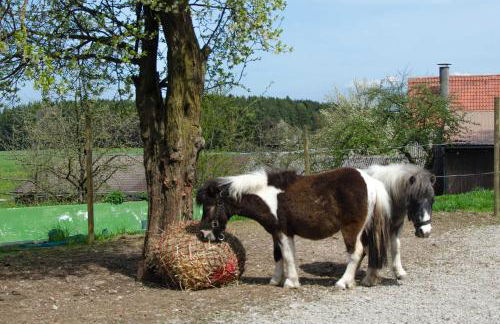 Ferienwohnung Kobelsberg - Foto 7