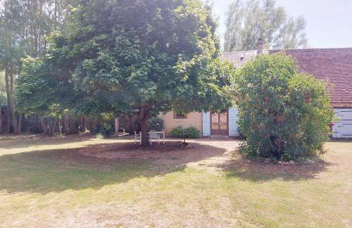 Gîte chaleureux dans un ancien corps de ferme avec wifi, cheminée et grand jardin à Châteaudun - FR-1-581-71 - Foto 24