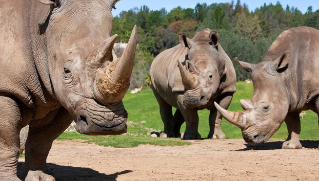 Go City: San Diego Explorer Pass - Foto 2