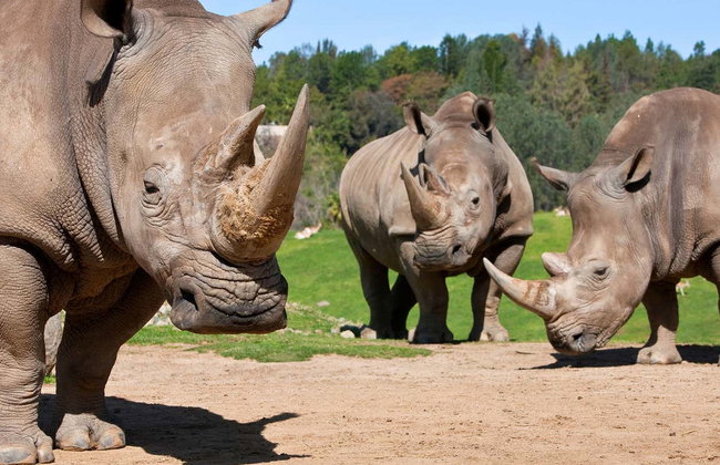 Go City: San Diego Explorer Pass - Foto 2