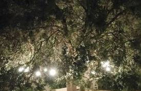 Casa rural Pará de Gaita. Un refugio en la naturaleza - Foto 21