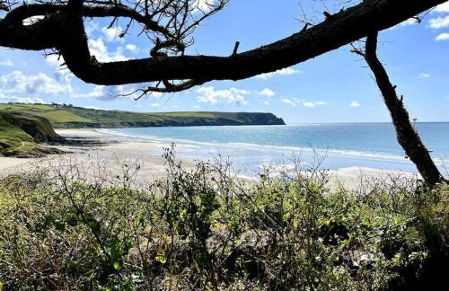 Cosy thatched Cottage sleeps 6 near Portscatho! - Foto 16