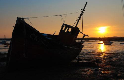 Bromans Barn a beautiful cottage by the Sea and Cudmore Nature Reserve - Foto 22
