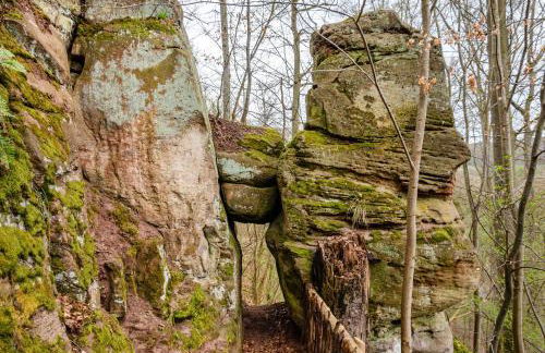 Ferienwohnung Inge - Photo 27