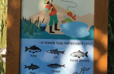 Diuna Apartamenty 365 - Foto 25