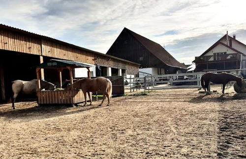 Sunshine Westernranch - Foto 4