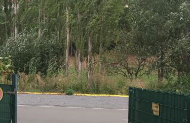 Ahr-Weinbergblick - Foto 6