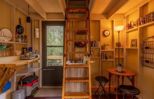 The Nuthatch Cabin - Asheville Tiny Home near the Smokie Mountains! - Foto 7