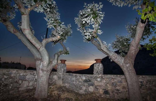 Petrinos Milos - Foto 44