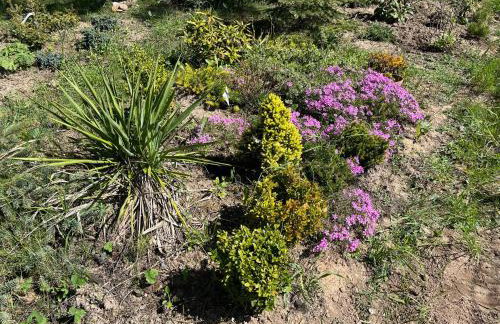 Domek wypoczynkowy Letnisko Sosenkowo - Foto 63