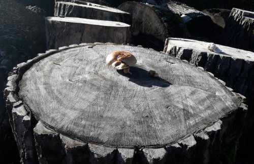 Christianshof - Foto 27